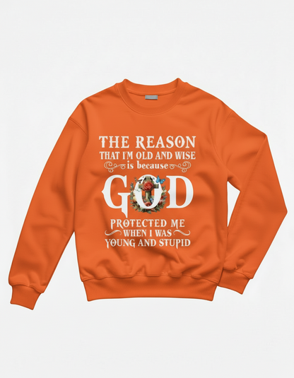 Old and wise sweatshirt